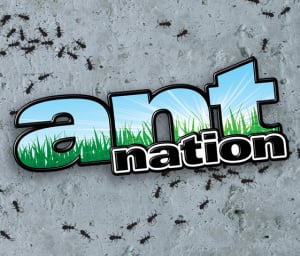 Ant Nation