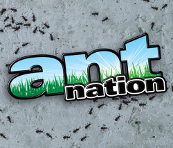 Ant Nation Cover