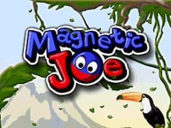 Magnetic Joe Cover
