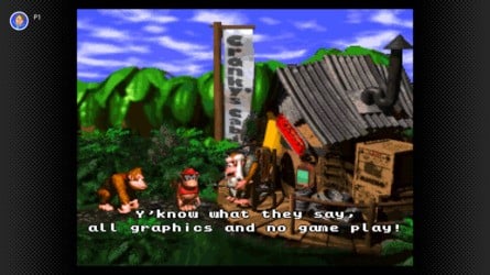 Donkey Kong Country