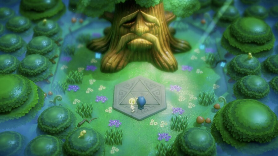 Zelda: Echoes of Wisdom Details