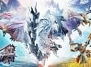 Monster Hunter Wilds Launches For Switch 2 This December, Includes Local & Cross-Platform Play