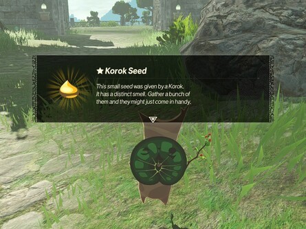 Korok Locations Guide