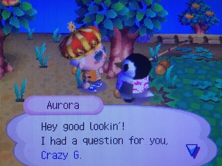 Animal Crossing Wild World What Ya Got Cookin
