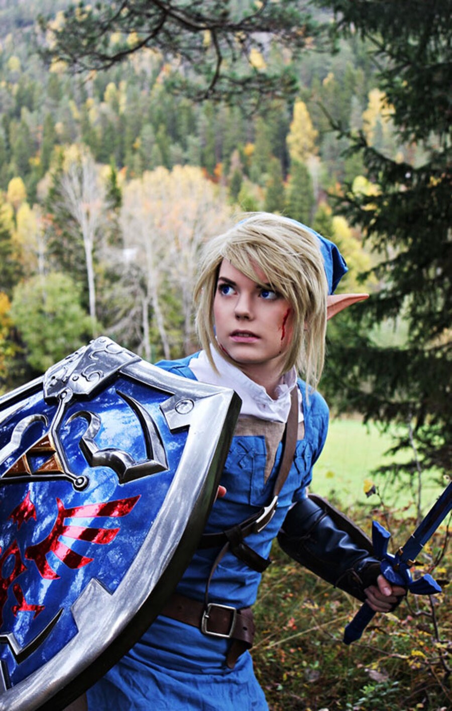 Legend of Zelda Cosplay