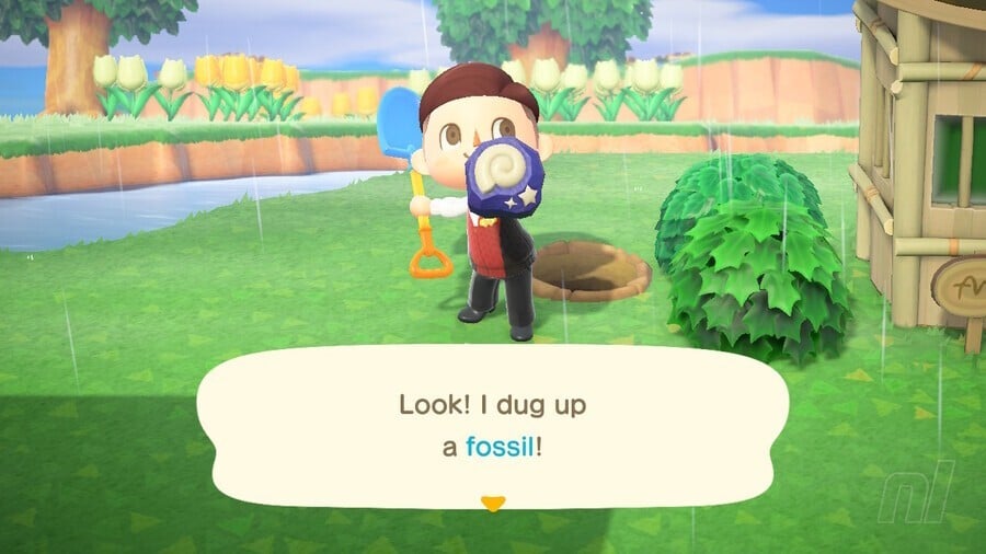 Animal Crossing: New Horizons: Fossils - Complete Fossil List And