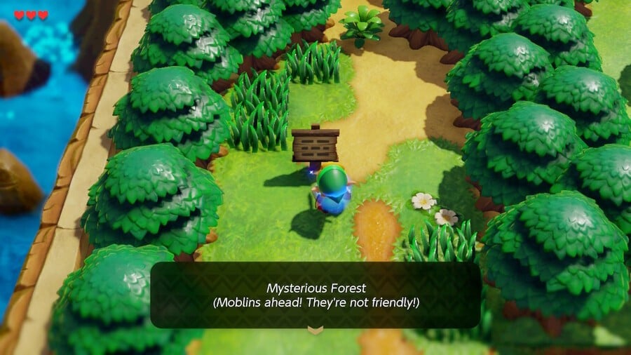 Link reads a sign saying he has arrived at the Mysterious Forest