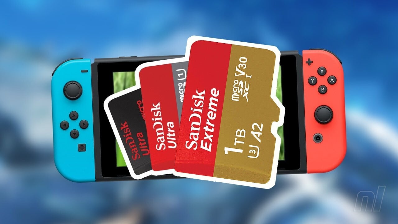 nintendo switch store games on sd card