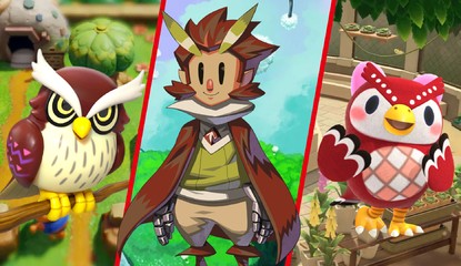 15 Superb Owls On Nintendo Switch
