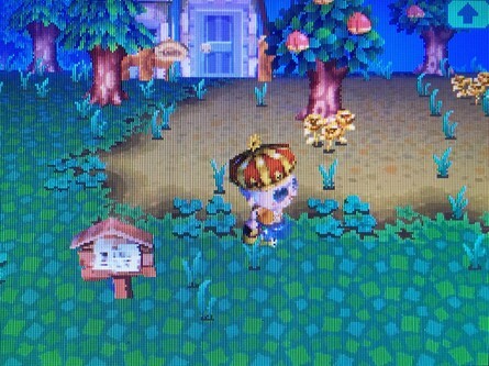 Animal Crossing Wild World Weeds