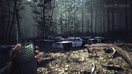 BW Switch Car Parking Logo