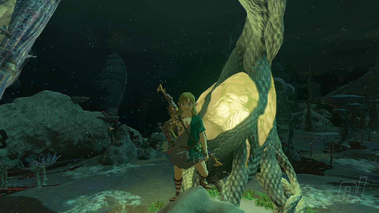 What Do You Wish You Knew Sooner In Zelda: Tears Of The Kingdom?