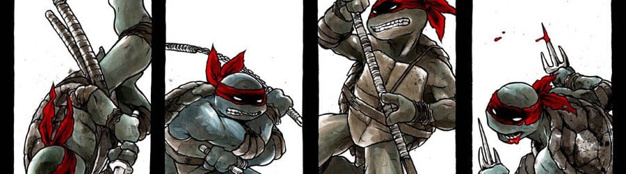 Teenage Mutant Ninja Turtles: Smash-Up (Wii)