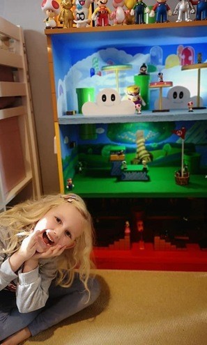 Home Made Super Mario World Play Set