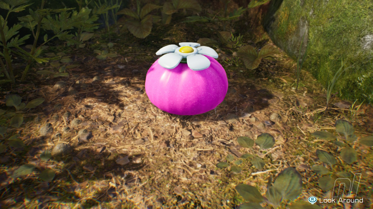 Pikmin 4 Purple Onion location