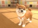Nintendogs-Style Switch Exclusive Little Friends: Dogs & Cats Launches This May