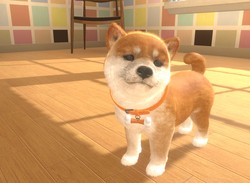 Nintendogs-Style Switch Exclusive Little Friends: Dogs & Cats Launches This May