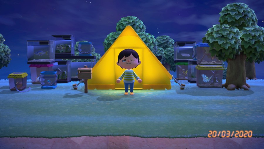 Animal Crossing: New Horizons