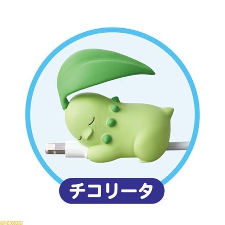 Chikorita