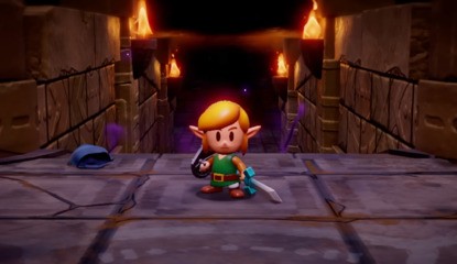 Echoes Of Wisdom Originally Starred Link, Until His Sword & Shield "Got In The Way"