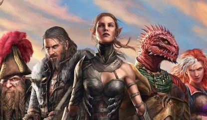 Divinity: Original Sin 2 - Definitive Edition Is Receiving A Limited Run Release On Switch