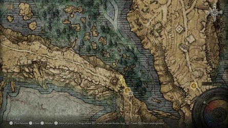 Elden Ring Tarnished Edition content