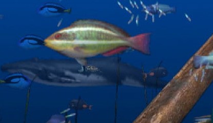 Big Kahuna Party (WiiWare)