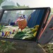 Opinion: Nintendo's Forgotten The Game With The Most 'Switch 2 Edition' Potential