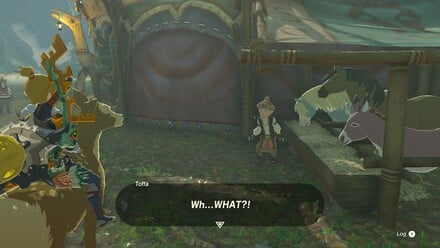 Zelda: Tears Of The Kingdom: All Pony Points Rewards - What Are Pony Points? 8