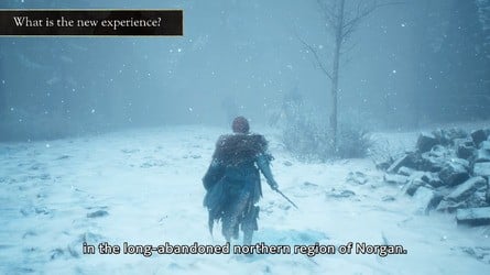 Dragons Dogma 2