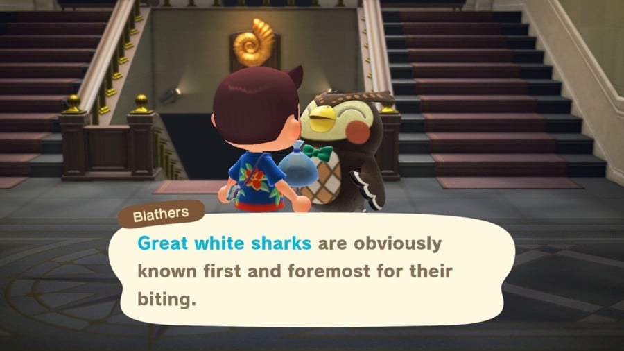 Blathers Great White Shark