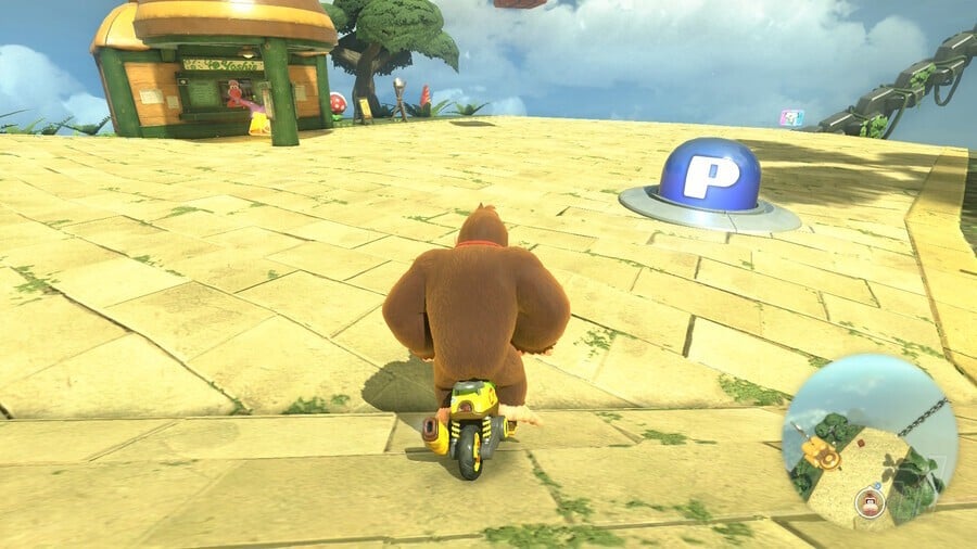 Jungle Safari Switch 12