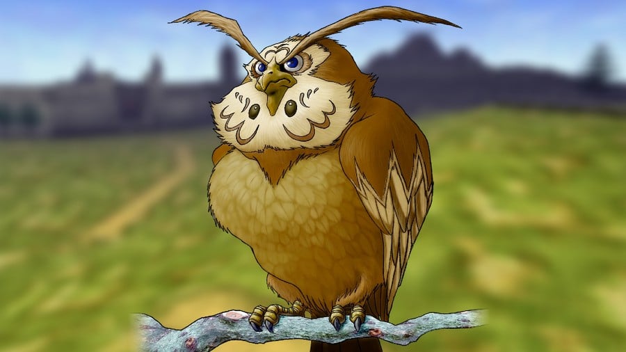 Superb Owl - Kaepora Gaebora