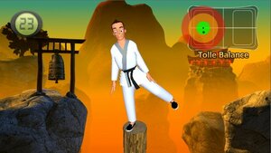 This should really be Karate Kid: The Game