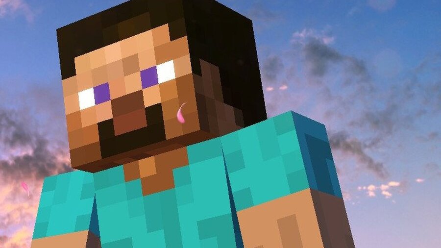 steve in minecraft