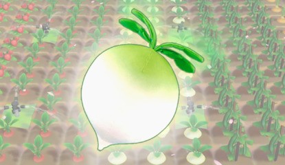 How One Large Vegetable Highlights The Issue With Japan-Only Merch