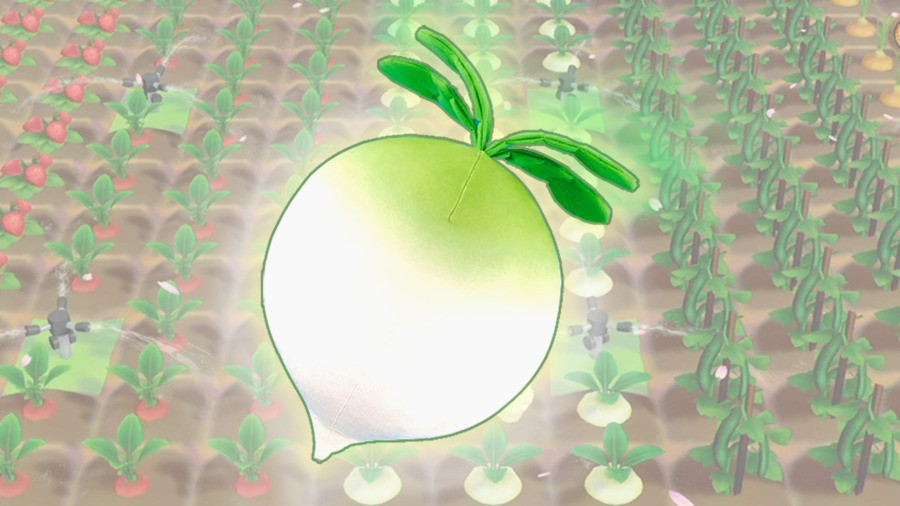 I... love the big turnip...