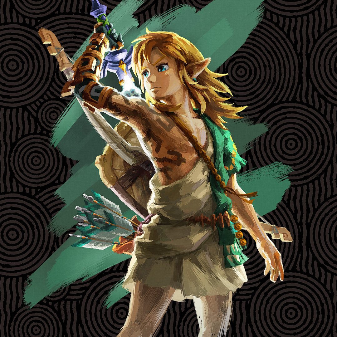 The Legend of Zelda: Tears of the Kingdom - Character Profiles