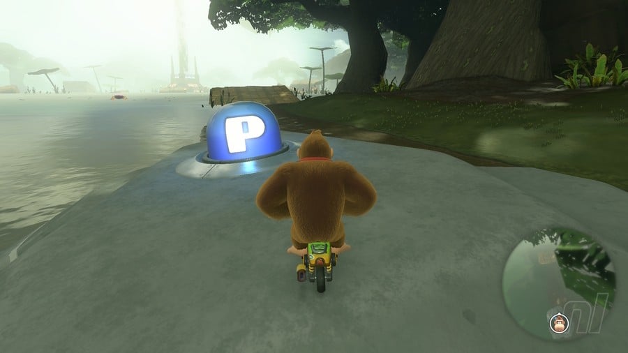 Jungle Safari Switch 11