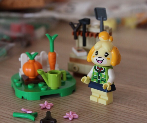 LEGO Animal Crossing - Isabelle’s House Visit 38