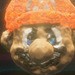 Gallery: Donkey Kong Bananza Players Show Off 'DK Artist' Masterpieces