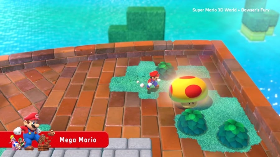 Super Mario 3D World