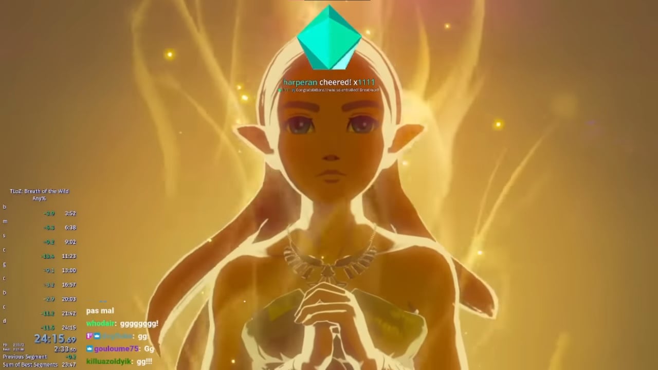 100,000 Subscribers in 333 days! Face REVEAL! DISCORD SERVER Mety's Heroes!  I LOVE YOU in Zelda BotW 