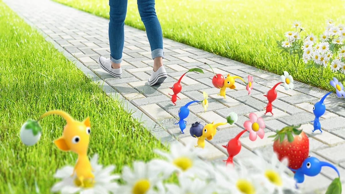 Here Are All The Details You Need For Pikmin Bloom’s First Community