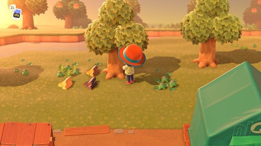 Animal Crossing: New Horizons: How To Cut Down And Move Trees - Collecting  Hardwood, Softwood And Wood Explained | Nintendo Life