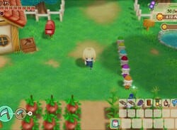 Feast Your Eyes On 20 Story Of Seasons: Friends of Mineral Town Screenshots