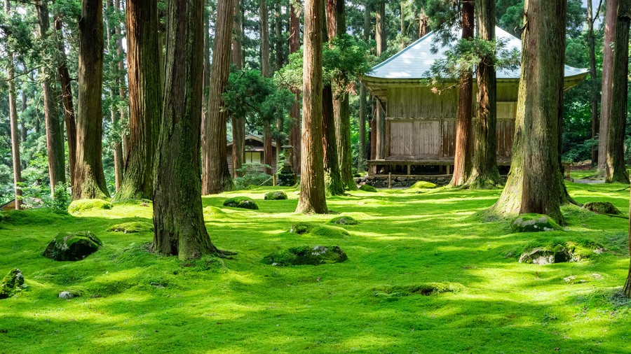 Heisenji Hakusan Shrine (Fukui)