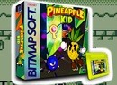 Pineapple Kid Is A New Game Boy Game Launching In Time For Christmas