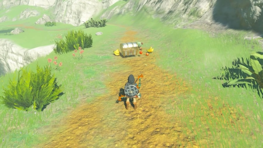 Zelda: Tears Of The Kingdom: How To Farm Arrows 6