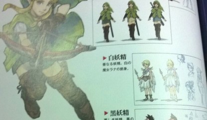The Hyrule Warriors Artbook Catches The Eye With 'Female Link'